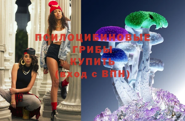 Альфа ПВП Каменногорск