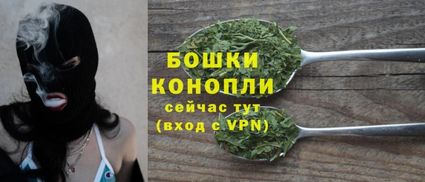 MESCALINE Каменка