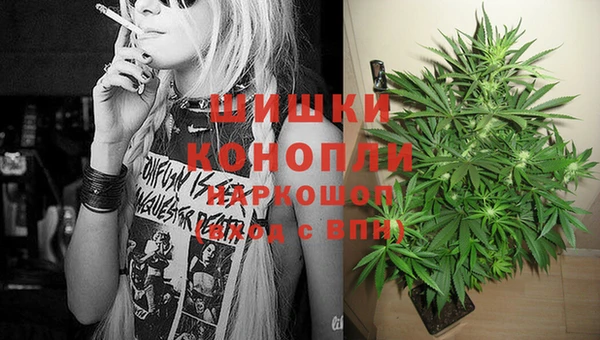 Альфа ПВП Каменногорск