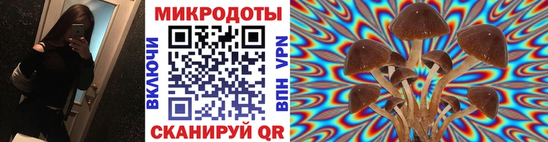 Галлюциногенные грибы мухоморы  Купить  Саяногорск 